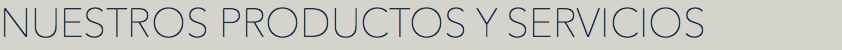 NUESTROS PRODUCTOS Y SERVICIOS